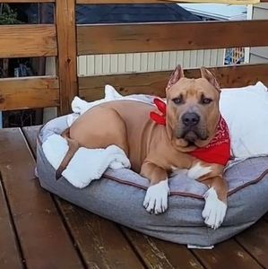 Meet your Posher, Will